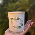 Natural coconut soy wax candle, essential oils, Tropical Zest, Zenplenish UAE, Grapefruit, Lemongrass, Lemon, Neroli, Gardenia, Verbena, Natural Fragrance, Home