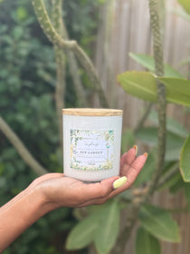Natural coconut soy wax candle, essential oils, Zen Garden, Zenplenish, UAE, Blue Lotus, Bergamot, Lavender, Lemon, Verbena, Natural Fragrance, home